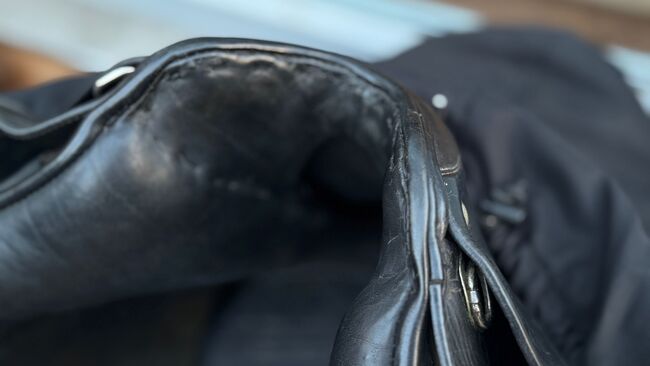 Top-gepflegter Passier Dressursattel Grand  Gilbert, Passier Grand Gilbert, G. Stenzel, Dressage Saddle, Werl, Image 3
