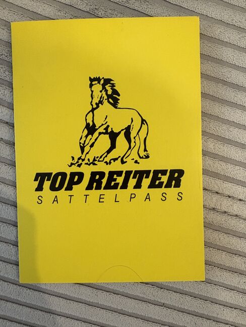 TopReiter Start 17,5 Wollfüllung, TopReiter  Start , Jasmin , Icelandic Saddle, Ottobrunn , Image 6