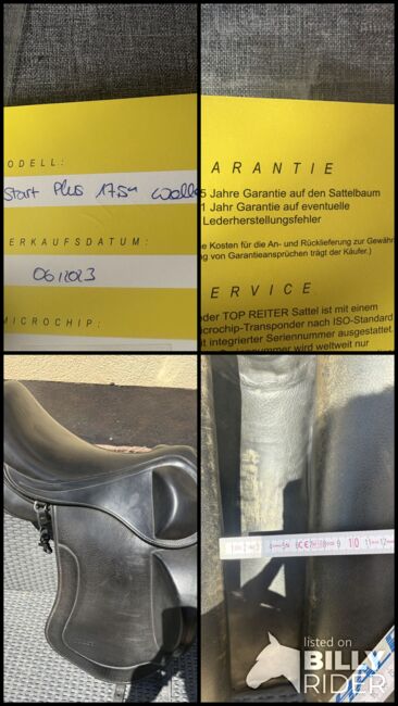 Topreiter Start Plus, Topreiter  Start Plus , Daniela Wunderlich, Icelandic Saddle, Bischheim , Image 7