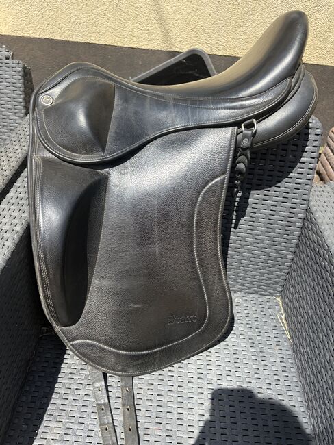 Topreiter Start Plus, Topreiter  Start Plus , Daniela Wunderlich, Icelandic Saddle, Bischheim 