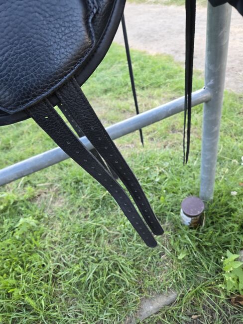 Sattel baumlos Marke Torsion, Torsion, Angela Kühn, Treeless Saddle, Schwedt/ Oder, Image 14