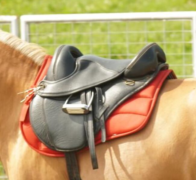Torsion trekking saddle, Torsion, Roberta Masera, Treeless Saddle, Pino Torinese