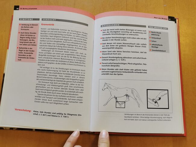 Bis der Tierarzt kommt – Erste Hilfe für Pferde, kosmos Jürgen Bartz, Mandy, Books, Camburg, Image 7