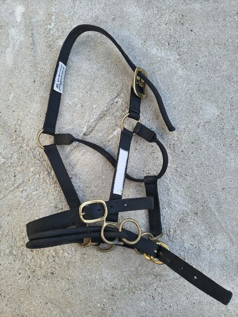 Trainingshalfter Monty Roberts, Monty Roberts Trainingshalfter, Sunci, Lunging, Holzmaden