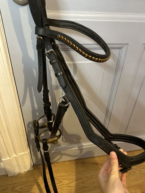 Trense anatomisch, Hans Melzer Tokio, Sölvy, Bridles & Headstalls, Flensburg, Image 5