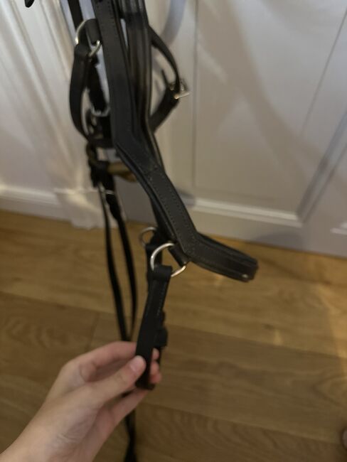 Trense anatomisch, Hans Melzer Tokio, Sölvy, Bridles & Headstalls, Flensburg, Image 4
