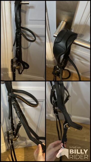 Trense anatomisch, Hans Melzer Tokio, Sölvy, Bridles & Headstalls, Flensburg, Image 6
