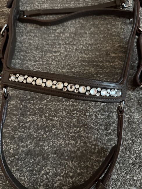 Trense anatomisch Isländer braun, Nadine , Bridles & Headstalls, Dinslaken, Image 5