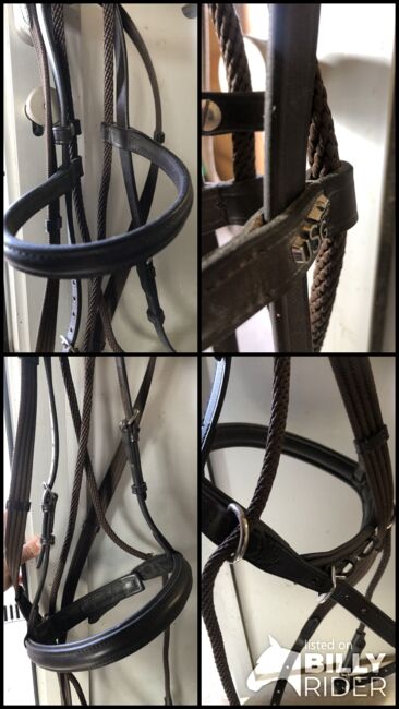 Zaum gebisslos, Deborah, Bridles & Headstalls, Luzern, Image 6