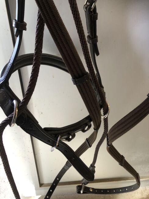 Zaum gebisslos, Deborah, Bridles & Headstalls, Luzern, Image 5