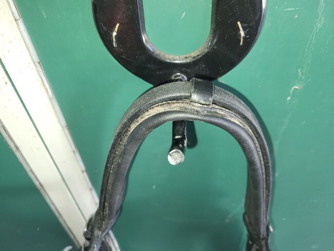 Trense Busse WB, Busse, Katharina, Bridles & Headstalls, Erding, Image 3
