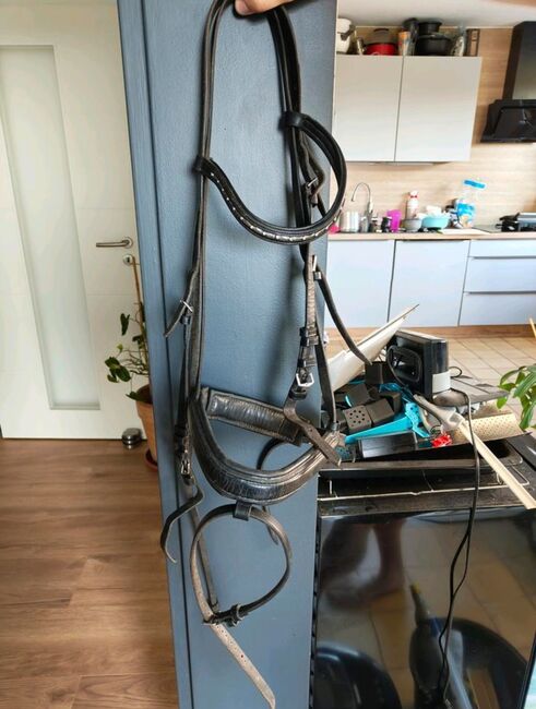 Trense, Englisch Trense, Full, Trense , Kiecol, Bridles & Headstalls, Schwanewede