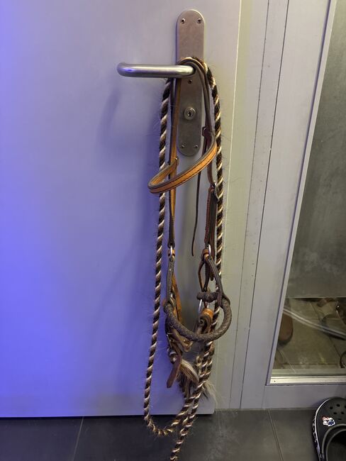 Westernreitzaum, Céline Leonardo, Bridles & Headstalls, Rüti ZH