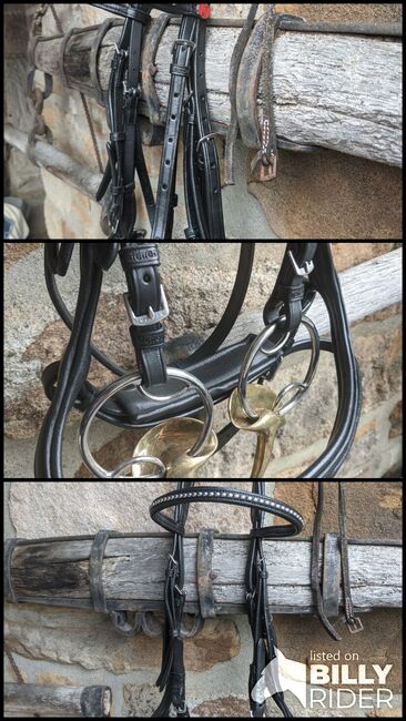 Trense von Kiefer mit Gebiss, Kiefer, Nina Schmied, Bridles & Headstalls, Bochum, Image 4