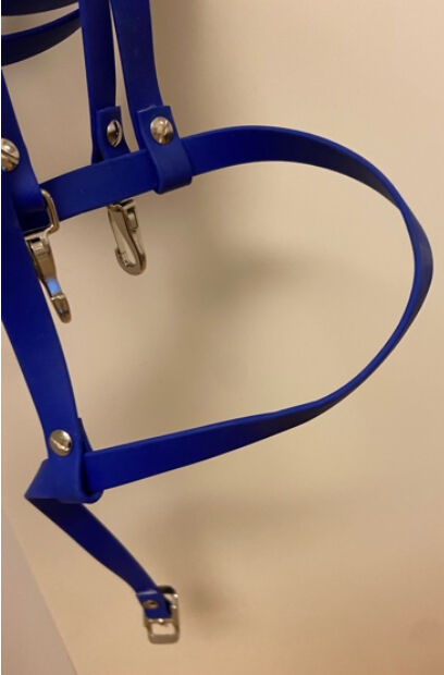 Biothane Zaumzeug, Stephanie , Bridles & Headstalls, Graz , Image 2