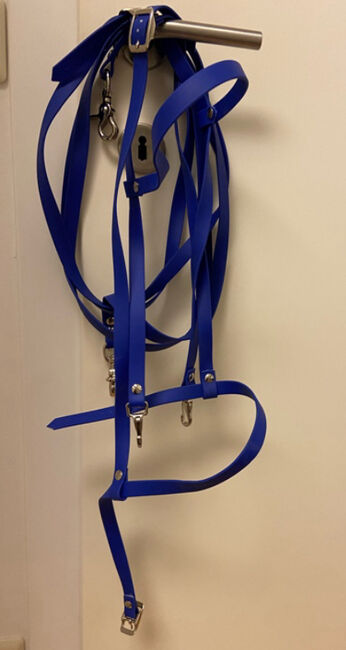 Biothane Zaumzeug, Stephanie , Bridles & Headstalls, Graz 