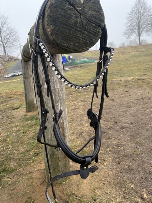 Trense/schwarz/Strass/ WB mit Stirnriemen changefast/mit Zügel, Showmaster, bonny, Bridles & Headstalls, Greifswald