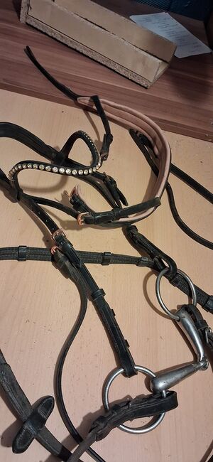 Trense abzugeben, Stefanie Tschech , Bridles & Headstalls, Bielefeld