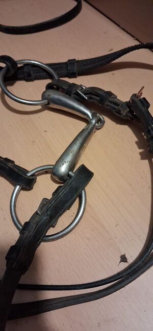 Trense abzugeben, Stefanie Tschech , Bridles & Headstalls, Bielefeld, Image 3