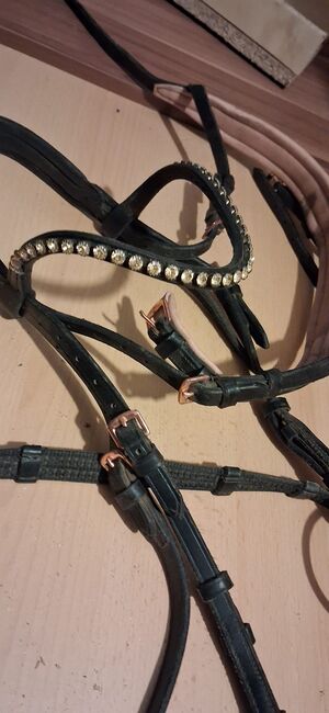 Trense abzugeben, Stefanie Tschech , Bridles & Headstalls, Bielefeld, Image 2