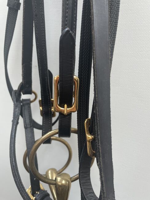 Trense Wb neu mit Zügeln mit goldenen Beschlägen, Lena Schwarz , Bridles & Headstalls, Freiburg , Image 2