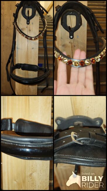 Bridlery Trense "Classic" VB, Bridlery Classic, Katharina, Bridles & Headstalls, Erding, Image 5