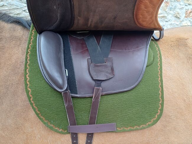 Lederbaumsattel Trekking Wanderreiten Dressur, Sorenta Trekking Emotion Gamma, Sandra, Endurance Saddle, Kumberg, Image 3
