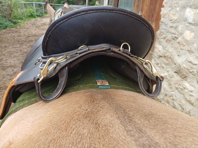 Lederbaumsattel Trekking Wanderreiten Dressur, Sorenta Trekking Emotion Gamma, Sandra, Endurance Saddle, Kumberg, Image 4