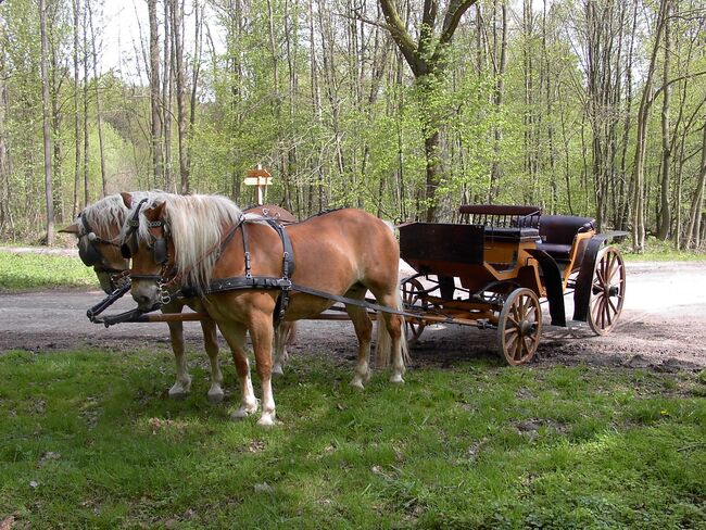 Holzkutsche, Theresa, Carriages, Beverungen