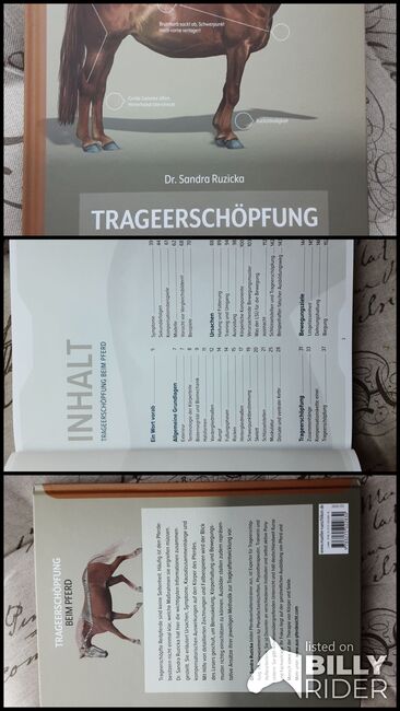 Trageerschöpfung bei  Pferd, Dr. Sandra Ruzicka, Speier, Bücher, Inzigkofen, Abbildung 4