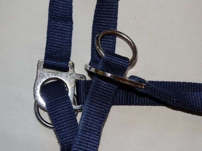 Trainingshalfter Bodenarbeitshalfter Reithalfter COB Blau gute stabile Qualität, Trainingshalfter, Anne, Groundwork, Wahrenholz, Image 4