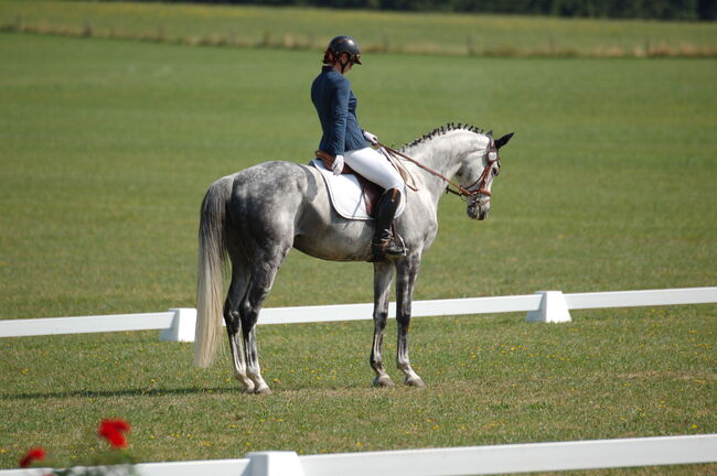 Ausbildung und Beritt, Kronwitter Petra , Riding Lessons, Mainbernheim