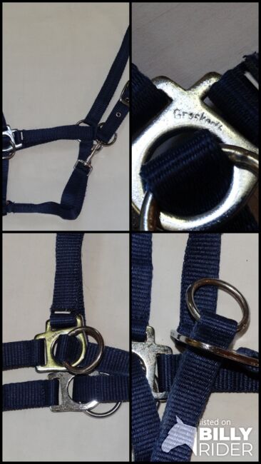 Trainingshalfter Bodenarbeitshalfter Reithalfter COB Blau gute stabile Qualität, Trainingshalfter, Anne, Bodenarbeit, Wahrenholz, Abbildung 5