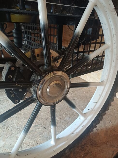 Trainingswagen, Tom, Kutschen,  Bregenz 