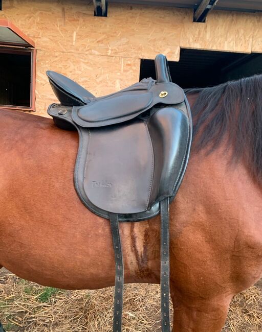 Trecker Sattel, Trecker  Luxus Sattel , Vanessa , Treeless Saddle, Penzlin , Image 3