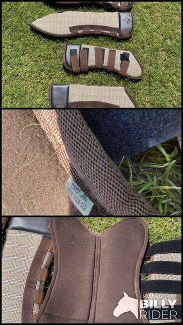 Transportgamaschen, Alexandra, Tendon Boots, München, Image 4