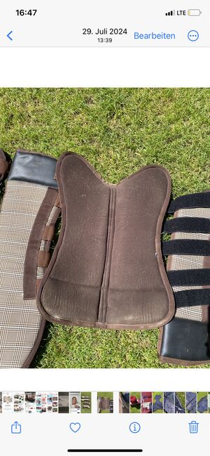 Transportgamaschen, Alexandra, Tendon Boots, München, Image 2