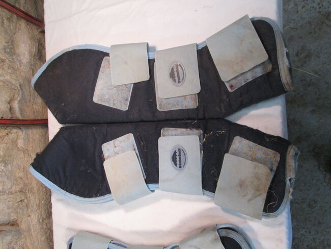 Transportgamaschen Gamaschen WB FULL blau hellblau Wheater Beeta, Mandy, Tendon Boots, Camburg, Image 2