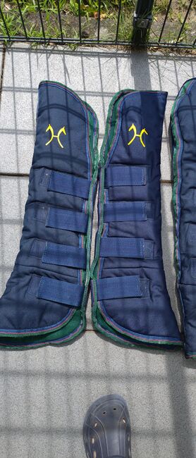 Transport Gamaschen Pferd, HKM, Martina , Tendon Boots, Bremen, Image 3