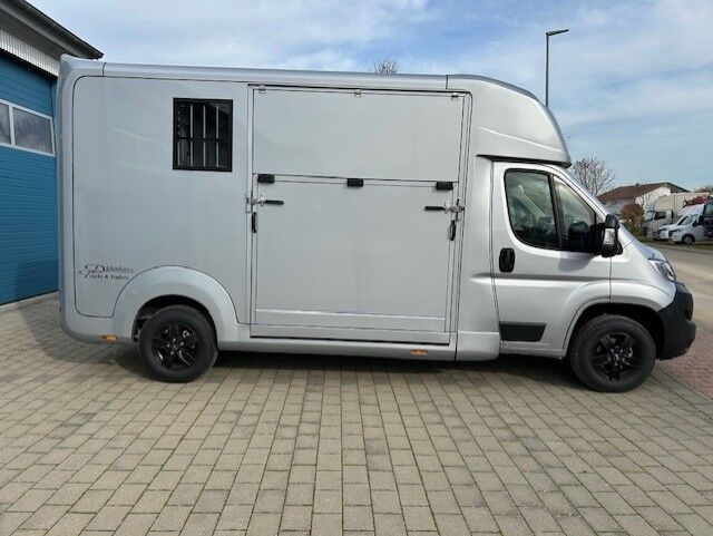 Pferdetransporter Hengstausstattung Viehtransporter Tiertransporter Selbstfahrer Opel Movano 3500KM, Opel Movano Stephex, Gerhard Strobel (Dickenherr Trucks und Trailers), Przyczepa konna, Baden-Württemberg - Unterschneidheim