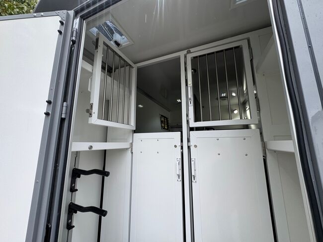 Pferdetransporter Renault Master 3 Schlafplätze 5 Sitzplätze 170PS Viehtransporter Tiertransporter, Dickenherr Dickenherr Team, Gerhard Strobel (Dickenherr Trucks und Trailers), Przyczepa konna, Baden-Württemberg - Unterschneidheim, Image 11