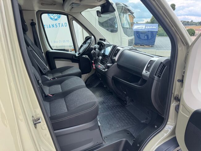 Pferdetransporter Theault Hengstausstattung Automatik 177PS, Fiat Theault Fiat Ducato Hengst, Gerhard Strobel (Dickenherr Trucks und Trailers), Przyczepa konna, Baden-Württemberg - Unterschneidheim, Image 7