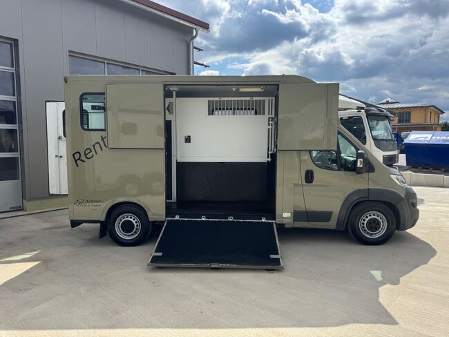 Pferdetransporter Theault Hengstausstattung Automatik 177PS, Fiat Theault Fiat Ducato Hengst, Gerhard Strobel (Dickenherr Trucks und Trailers), Przyczepa konna, Baden-Württemberg - Unterschneidheim, Image 12