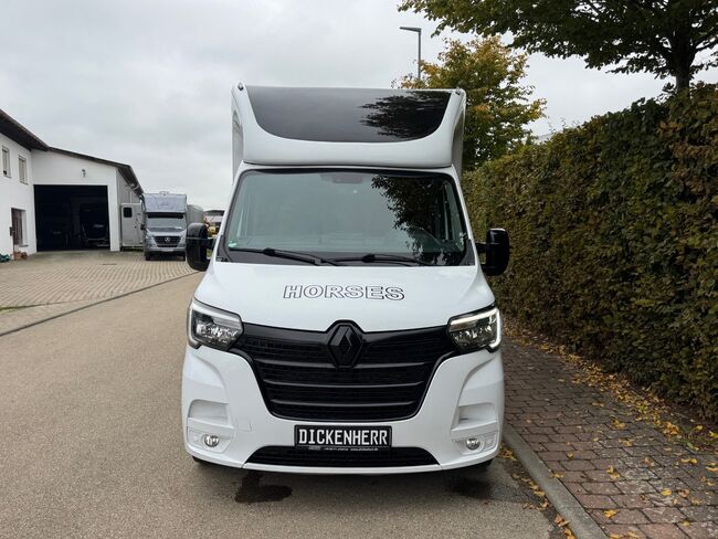 Pferdetransporter Viehtransporter Tiertransporter Hengst Automatik 180PS Renault Selbstfahrer 3.5t, Renault Master Sodiak, Gerhard Strobel (Dickenherr Trucks und Trailers), Przyczepa konna, Baden-Württemberg - Unterschneidheim, Image 4