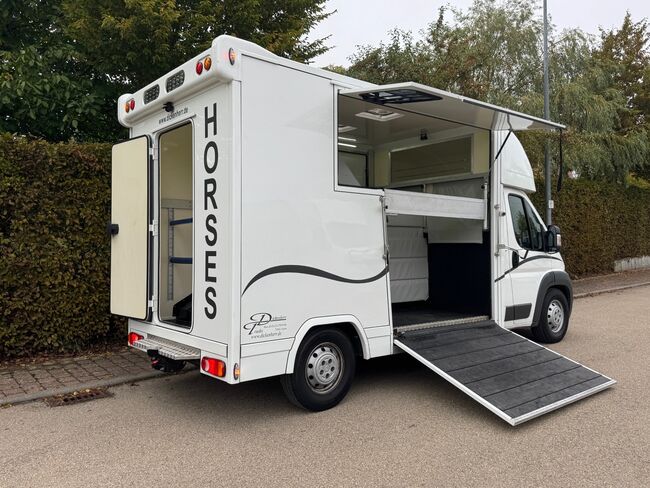 Pferdetransporter 2 Seitenrampen Nur 20500KM Viehtransporter Tiertransporter, Dickenherr Dickenherr 2 Ride , Gerhard Strobel (Dickenherr Trucks und Trailers), Przyczepa konna, Baden-Württemberg - Unterschneidheim, Image 6
