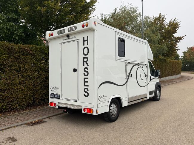 Pferdetransporter 2 Seitenrampen Nur 20500KM Viehtransporter Tiertransporter, Dickenherr Dickenherr 2 Ride , Gerhard Strobel (Dickenherr Trucks und Trailers), Przyczepa konna, Baden-Württemberg - Unterschneidheim, Image 4
