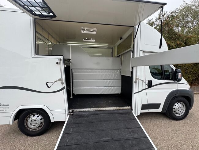 Pferdetransporter 2 Seitenrampen Nur 20500KM Viehtransporter Tiertransporter, Dickenherr Dickenherr 2 Ride , Gerhard Strobel (Dickenherr Trucks und Trailers), Przyczepa konna, Baden-Württemberg - Unterschneidheim, Image 20