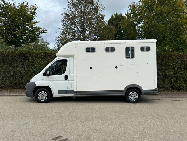 Pferdetransporter Equitrek 85.000KM Klima Viehtransporter 3,5t, Peugeot Equitrek Equitrek, Gerhard Strobel (Dickenherr Trucks und Trailers), Przyczepa konna, Baden-Württemberg - Unterschneidheim, Image 9