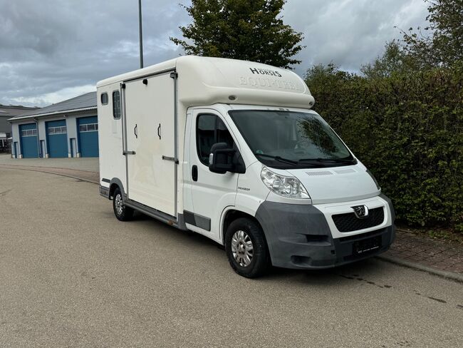 Pferdetransporter Equitrek 85.000KM Klima Viehtransporter 3,5t, Peugeot Equitrek Equitrek, Gerhard Strobel (Dickenherr Trucks und Trailers), Przyczepa konna, Baden-Württemberg - Unterschneidheim, Image 11