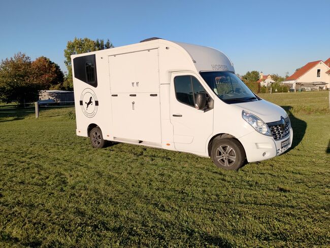 Pferdetransporter Tiertransporter Viehtransporter Nuyts Renault Master 80.000KM Klima, Renault Master Nuyts, Gerhard Strobel (Dickenherr Trucks und Trailers), Przyczepa konna, Baden-Württemberg - Unterschneidheim, Image 14